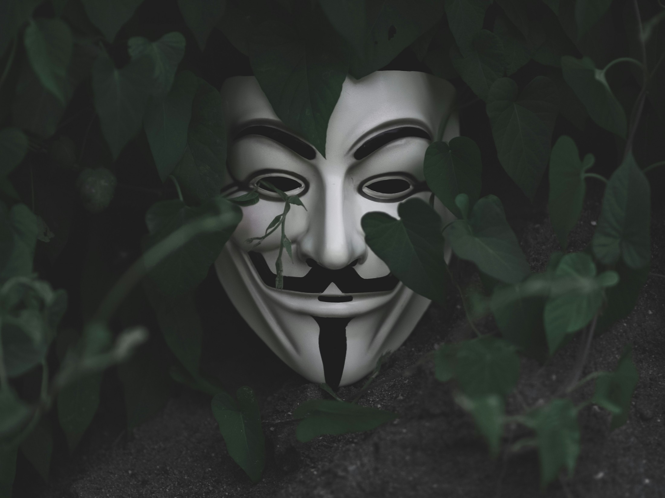 AI hacking tool exploits zero-day security vulnerabilities in minutes