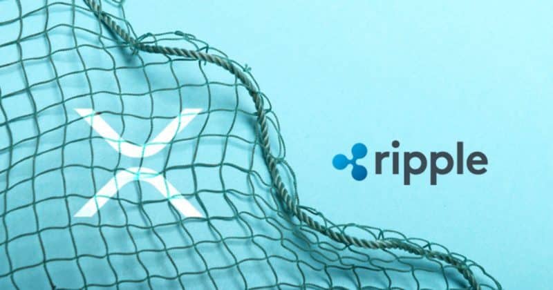 Ripple stake delivers approximately 150% return for C1 Fund in under four months